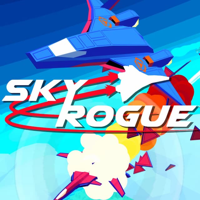 Sky Rogue