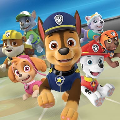 Paw Patrol: On a Roll