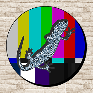 Salamander County Public Television